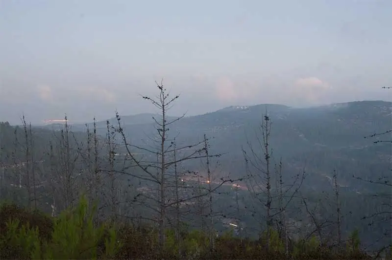 Wildfire Season in Orange County